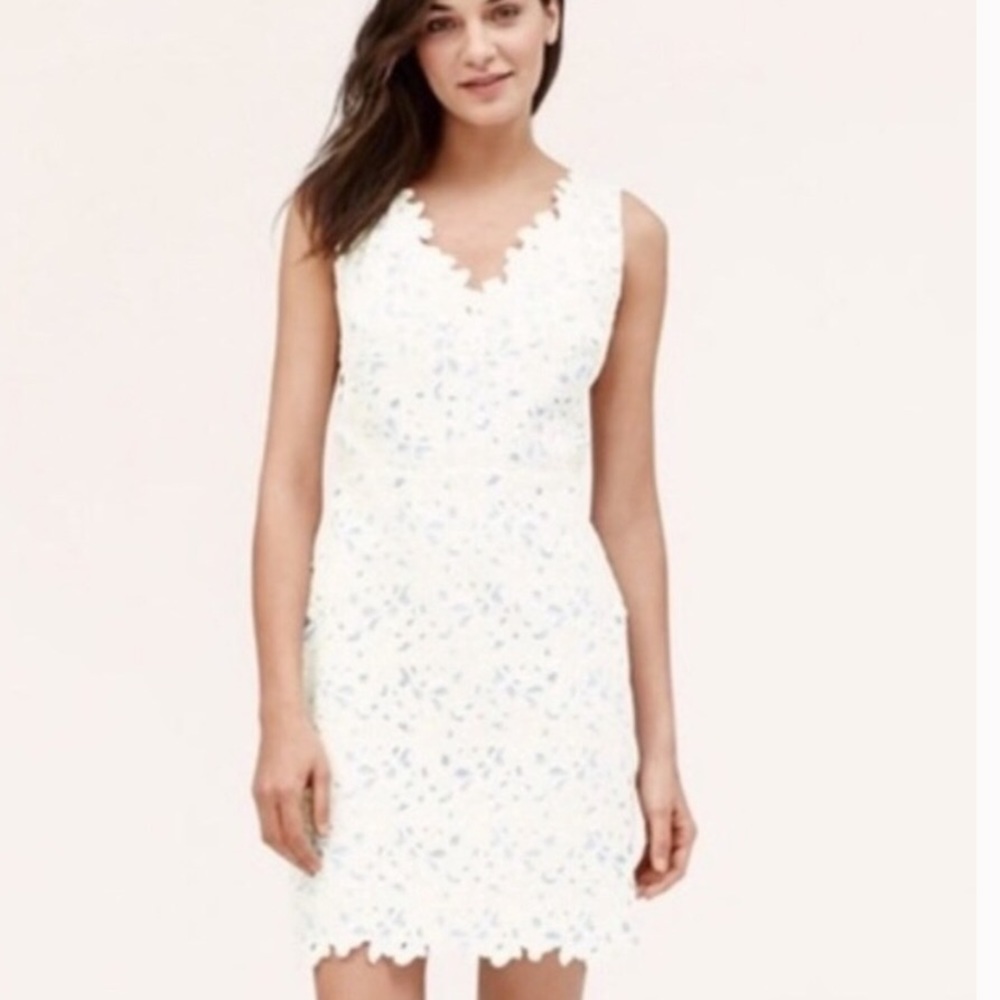 Loft Lace overlay dress